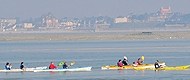 Club de kayak de mer et  de va'a de la Baie des Phoques 
